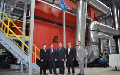Product Feature: Biomass (3)
